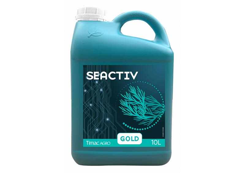 SEACTIV GOLD
