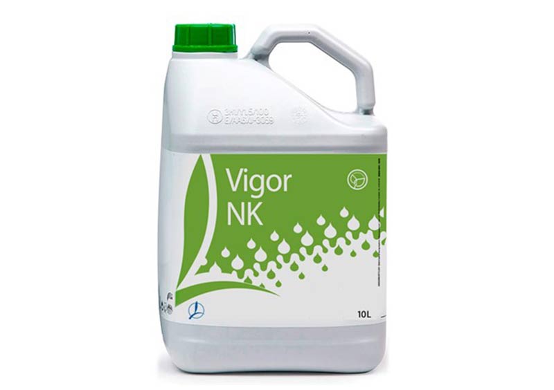 VIGOR NK
